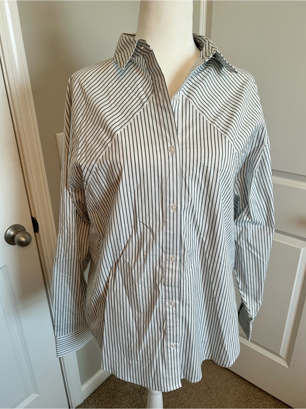 Express Women’s Boyfriend Portfolio Vertical Stripe Button-Up Shirt